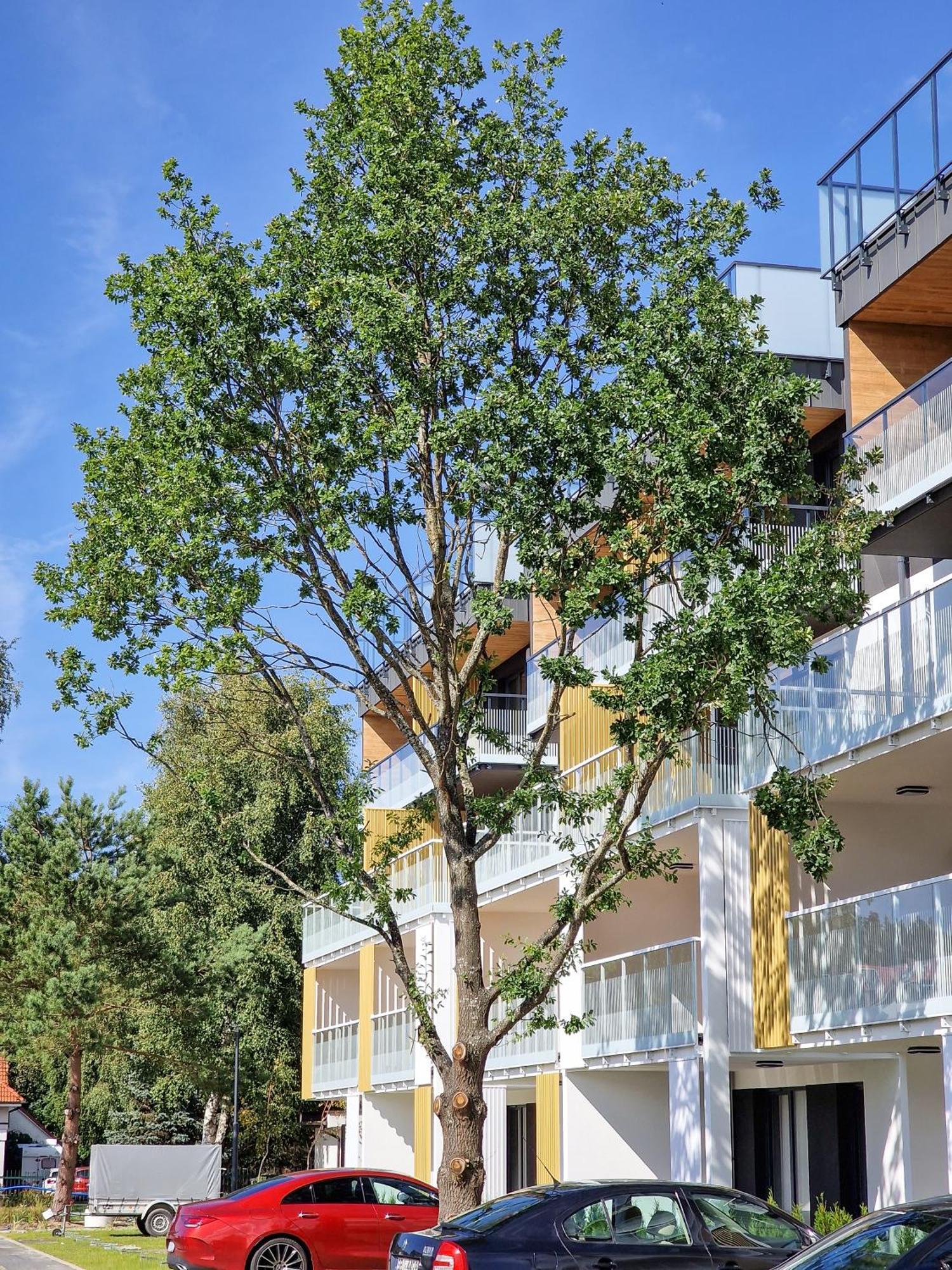 Posesja Plazowa Penthouse & Spa By Posesja Apartamenty Grzybowo  Zewnętrze zdjęcie